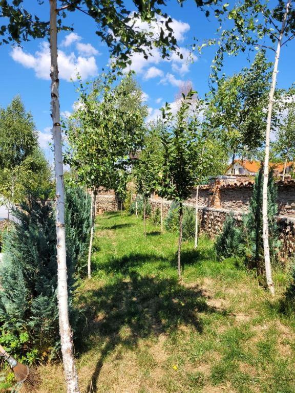 Casa Cu Mesteceni Rîşnov Екстериор снимка